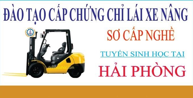 Dạy lái xe nâng cấp chứng chỉ tại Hải Phòng