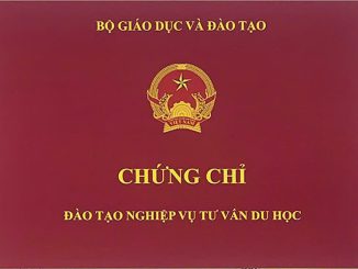 chứng chỉ tư vấn du học